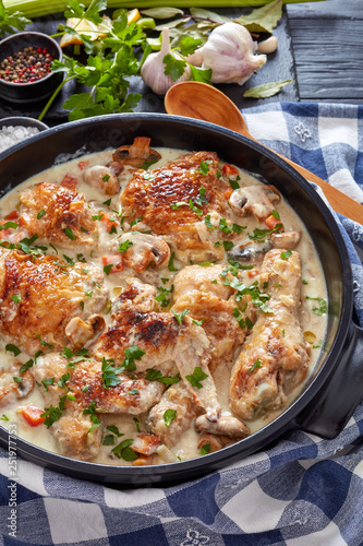 Fotografie hot chicken fricassee in a black dutch oven