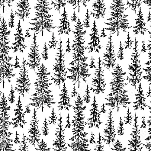vector background of the fir forest sketches
