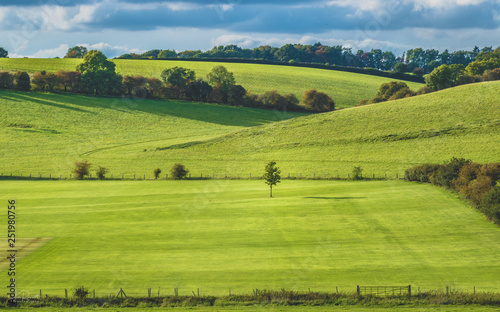 rural landscape with green field and blue sky