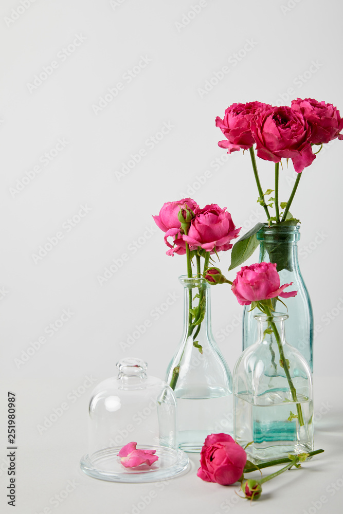 fresh pink roses in transparent bottles isolated on white with copy space fresh pink roses in transparent bottles isolated on white with copy space