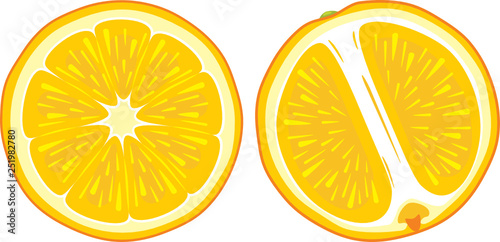 Two juicy orange slices