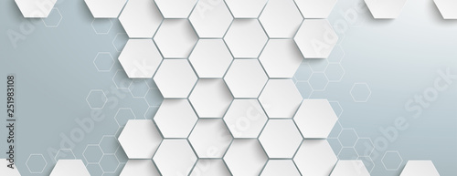 White Hexagon Structure Centre Header