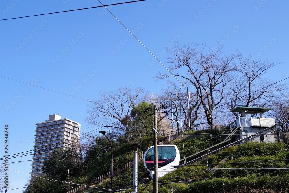 Obraz premium 飛鳥山