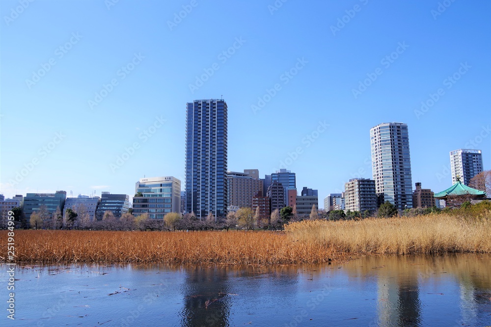 Fototapeta premium 不忍池