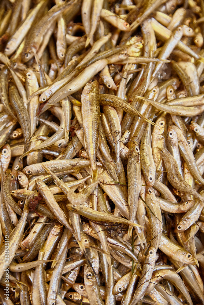 A pile of beautiful small fishes on a counter A pile of beautiful small fishes on a counter