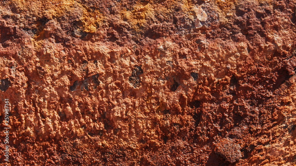 Fototapeta premium Textur Rost in einer Eisenschale im Garten