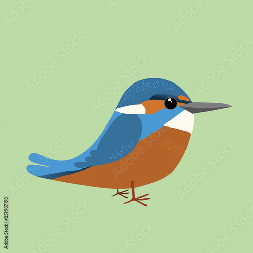 A common king fisher comic illustration