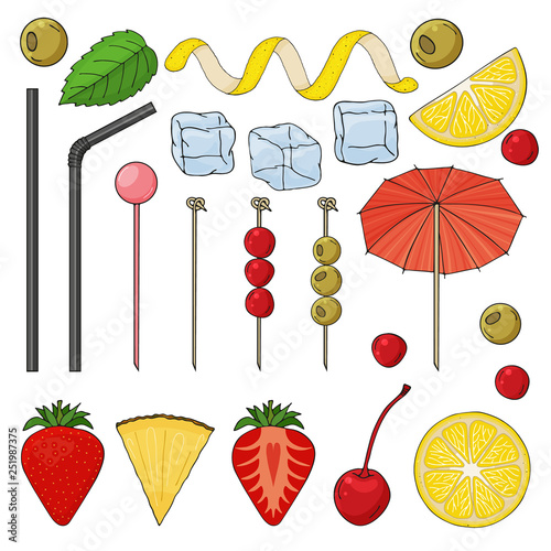 Big collection of elements for the decor of cocktails. Tubes, skewers, spiral, lemon, strawberry, pineapple, cherry, olives, ice, umbrella, mint. vector illustration. isolated objects.