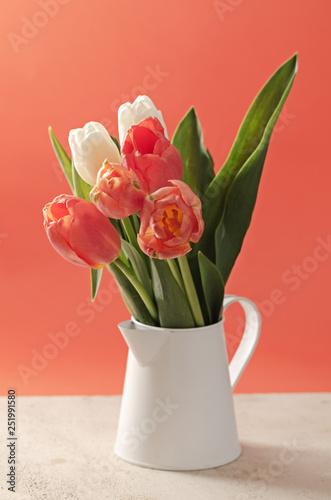 Tulip flowers in a vase on marble table and coral background with space for text.