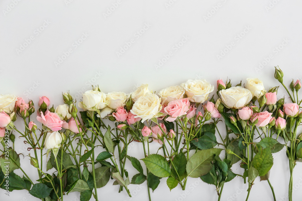 Beautiful fresh roses on white background Beautiful fresh roses on white background