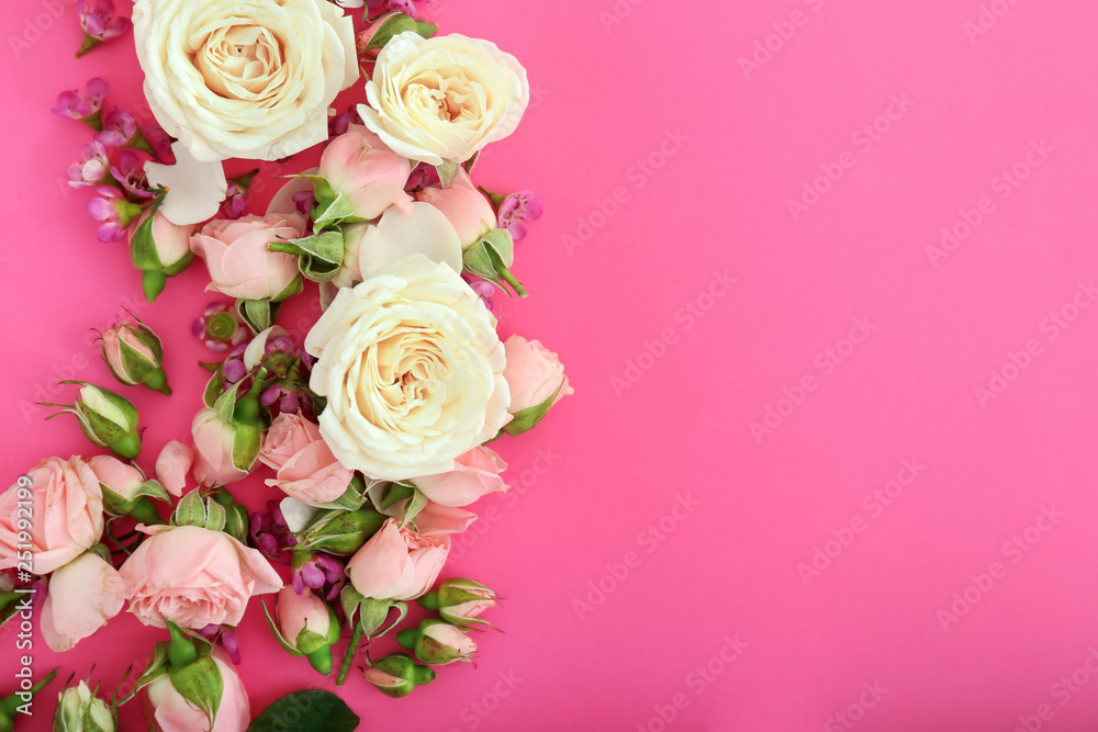 Beautiful fresh roses on color background