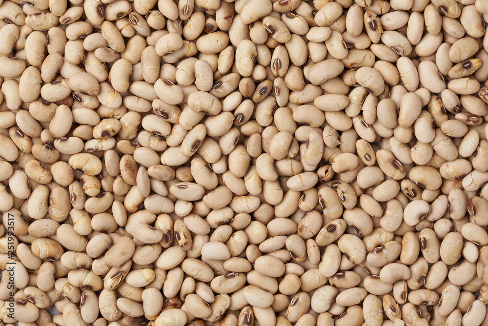soybeans background texture soybeans background texture