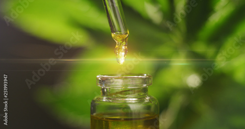 Macro close up of droplet dosing a biological and ecological hemp plant herbal pharmaceutical cbd oil from a jar. photo