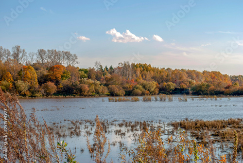 Russia. Far East. Autumn landscape. Lake view