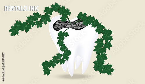 Tooth shaped pot with greenery for office interior - vector. Dental clinic