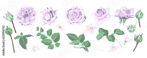 Wedding Card Design with Watercolor Flowers.