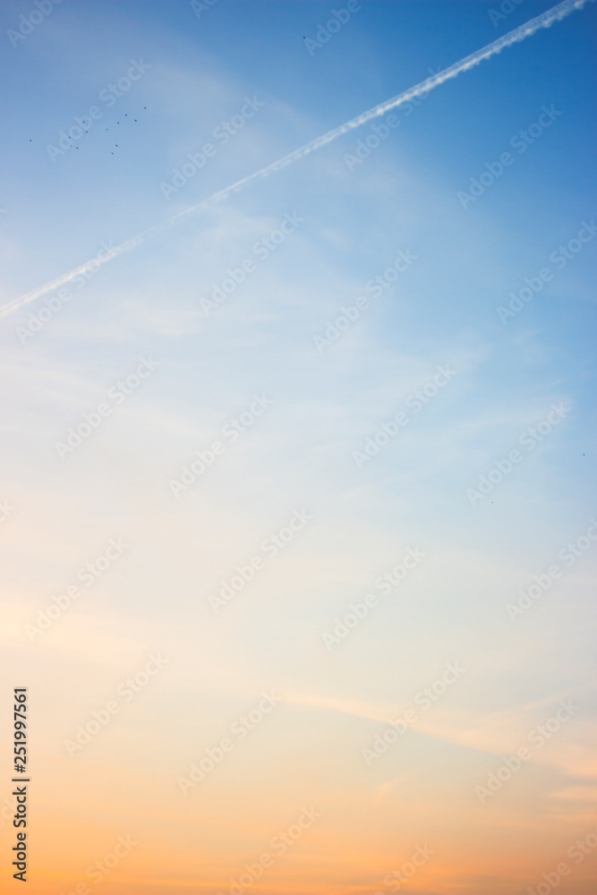 Trail after the plane in the sky. Trail after the plane in the sky.