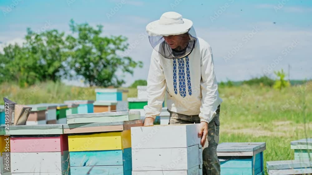 a beekeeper in protective clothing holds a frame with honeycombs for bees in the garden in the summer a beekeeper in protective clothing holds a frame with honeycombs for bees in the garden in the summer
