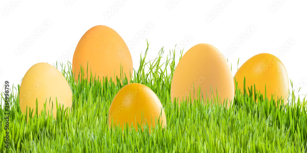 Easter eggs in green grass isolated Easter eggs in green grass isolated