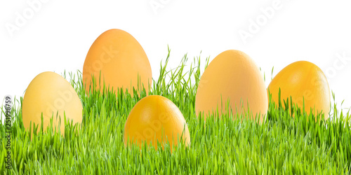 Easter eggs in green grass isolated