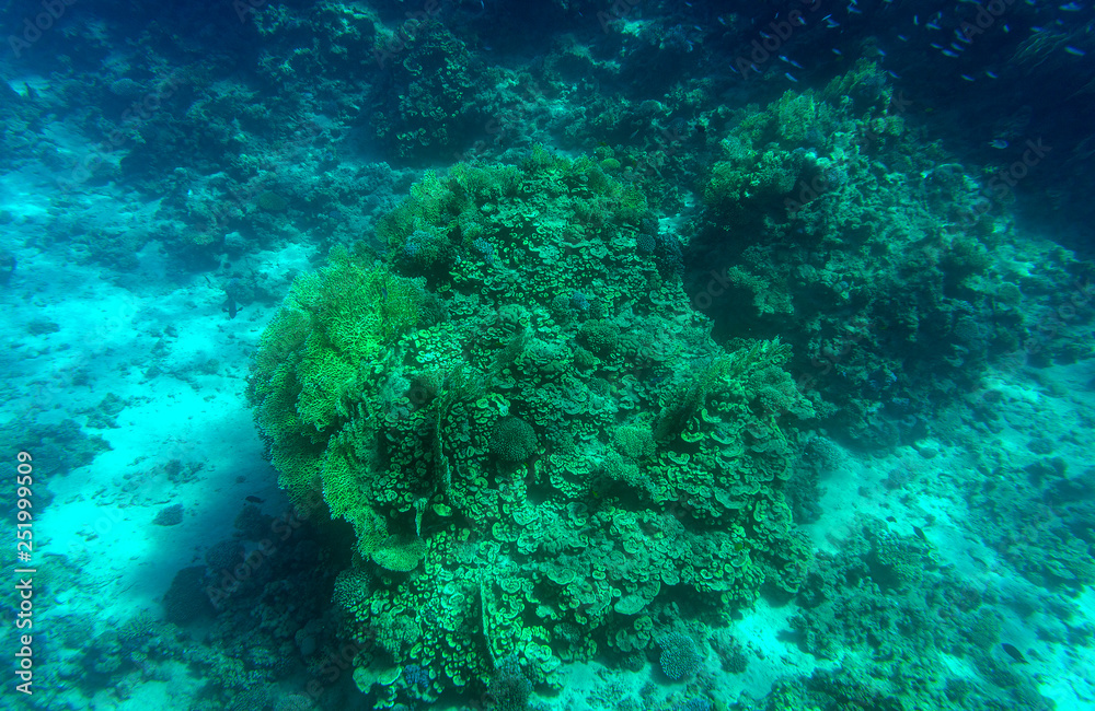 Aquatic Blue Deep Seabed Underwater Background Aquatic Blue Deep Seabed Underwater Background