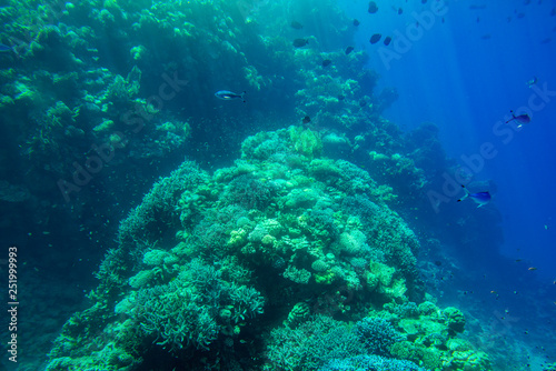Blue Deep Seabed Underwater Background