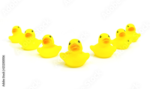 Company of seven yellow rubber toy ducklings isolated on white background.
