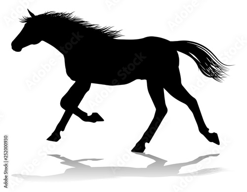 A horse animal detailed silhouette graphic