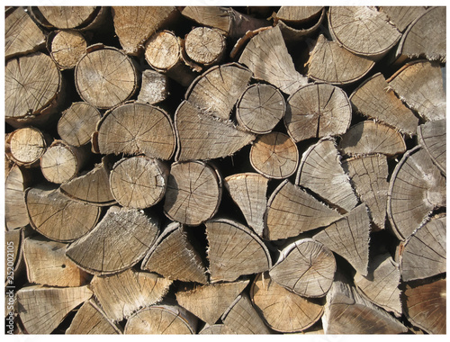 Wood Logs Pile Vector Stack Pattern