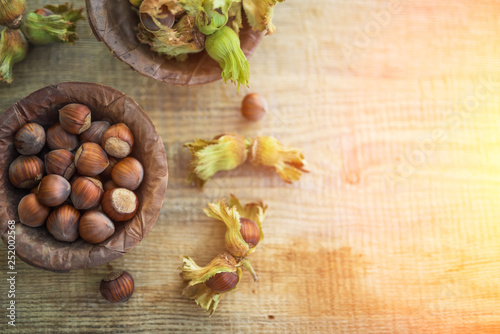 Flat lay photo composition of just harvested whole hazelnuts with shells in a plate of dried leaves on the rustic wooden board. Selective focus. Copy space