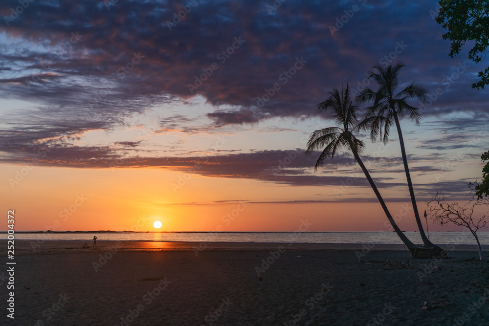Coucher de soleil - plage - palmier