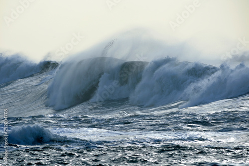 snapshot of a wave breaking in the sea © Guillermo