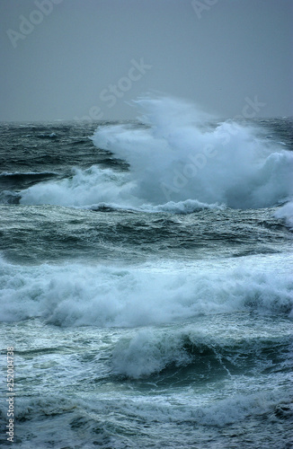 Fototapeta Naklejka Na Ścianę i Meble -  snapshot of a wave breaking in the sea