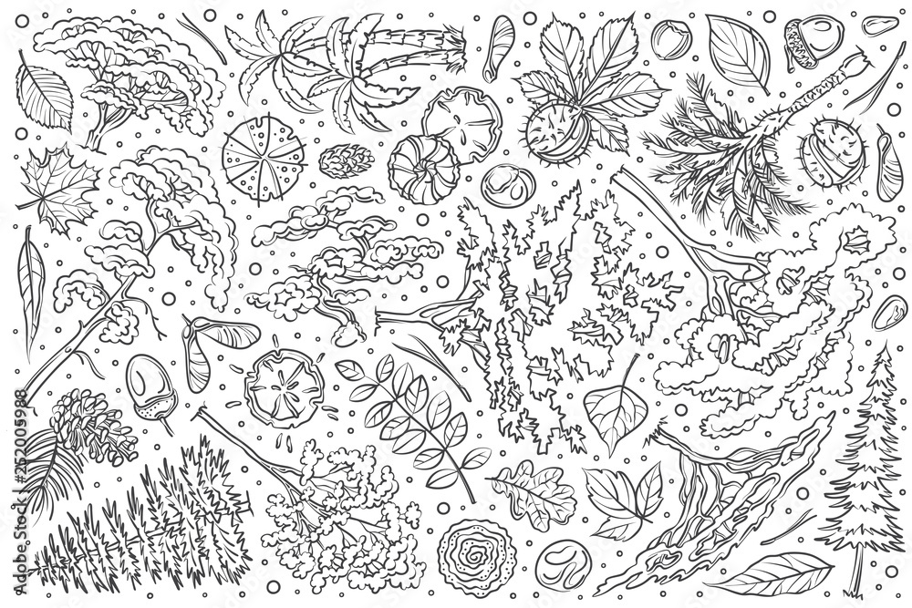 Fototapeta premium Hand drawn tree set doodle vector background