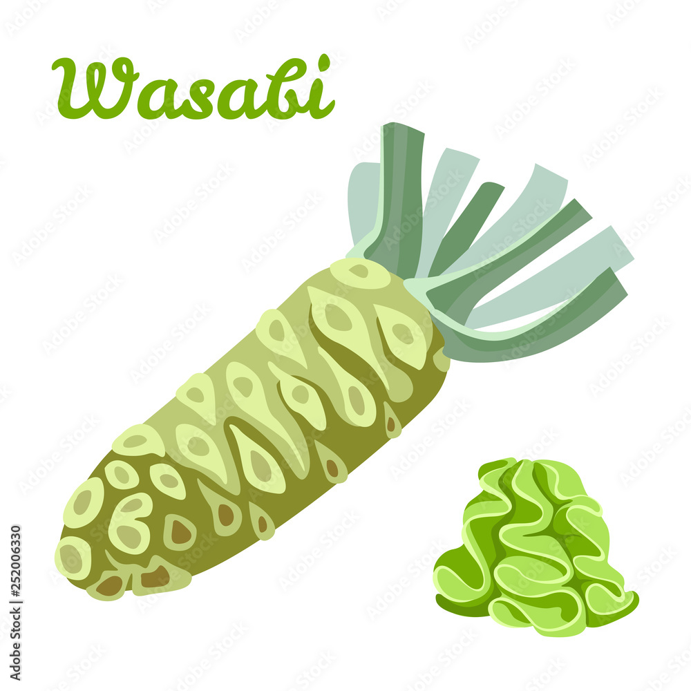 Vector wasabi root and sauce isolated on white background. Color image