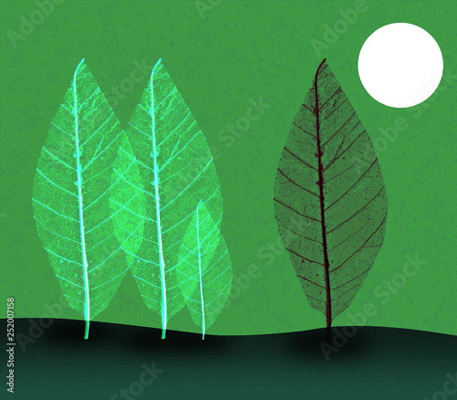 Arbres lune