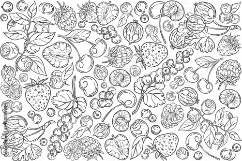 Hand drawn berries set