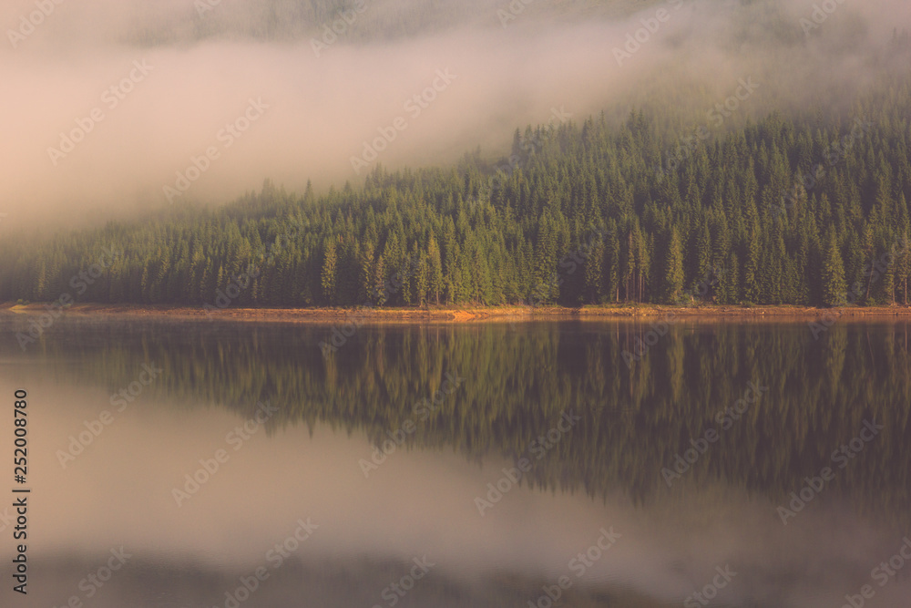Peaceful lake mirror (2)