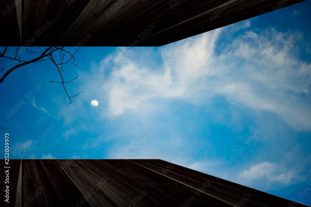 Fototapeta premium Forest Wooden shade silhouette with Evening sky and moon