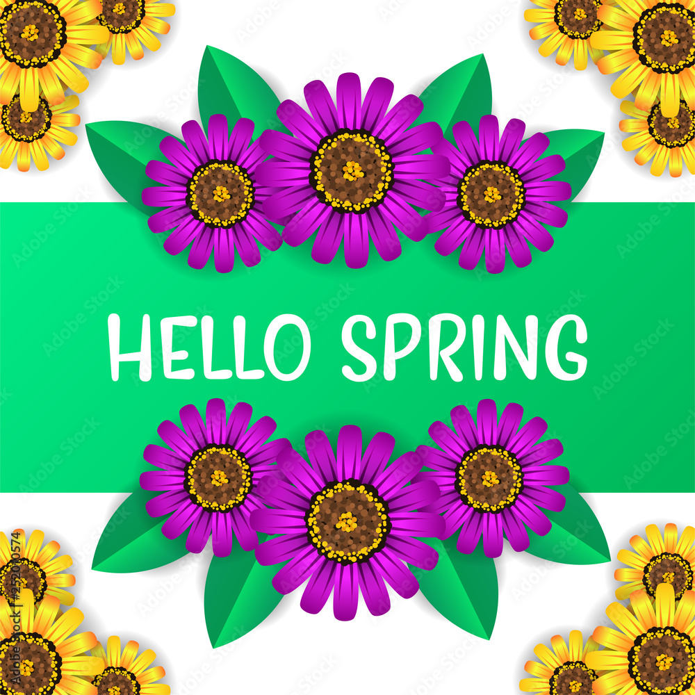 Hello Spring poster background with colorful beauty flower blossom from top view