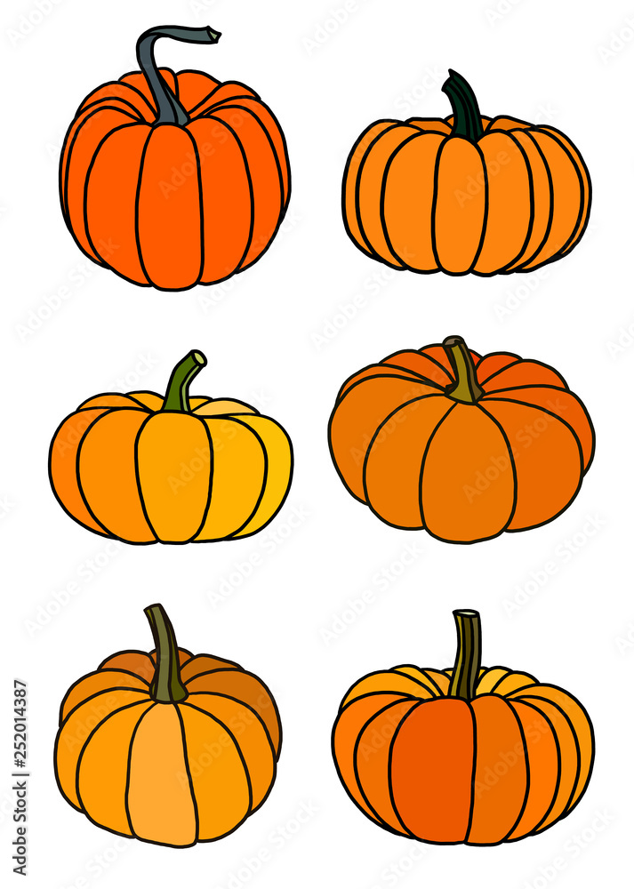 six pumpkins isolated on white