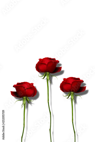 3本の赤い薔薇の花