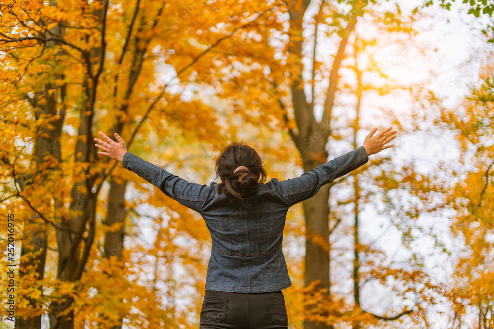 asian girl hand rise up with autumn tree forest freedom ideas concept
