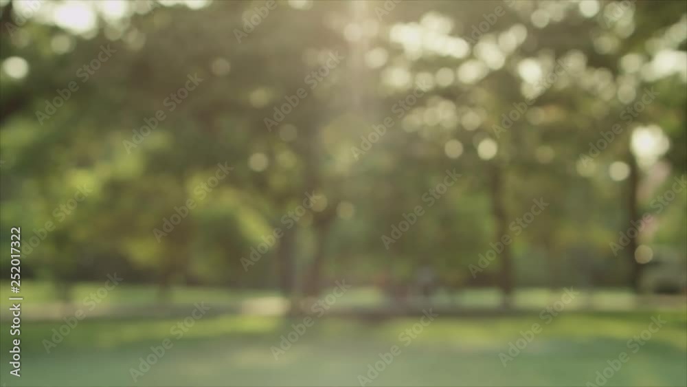 Blurred park background with flare light Blurred park background with flare light