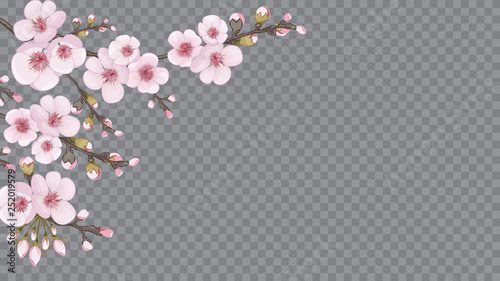 Handmade background in the Japanese style. Light frame horizontal of sakura flowers. Rose on transparent background. Theme design textiles, wallpaper, packaging, printing.
