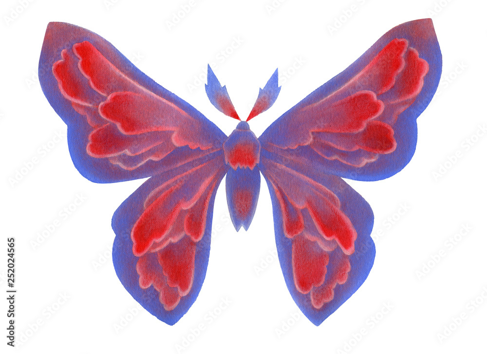 Hand drawn bright watercolor butterfly on white Hand drawn bright watercolor butterfly on white