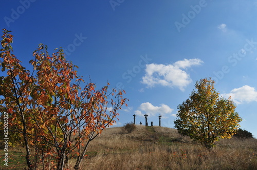 wineyard near retz, weinviertel, lower austria photo