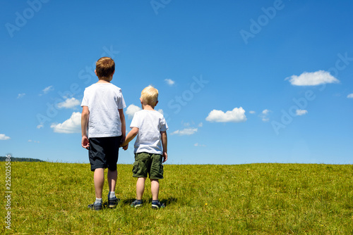 Two little boys standing in the meadow holding hands on a background of blue sky.