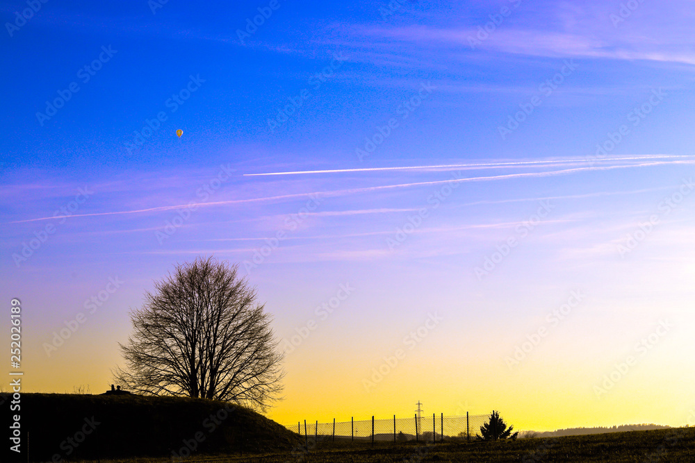 landscape with tree and sunset landscape with tree and sunset