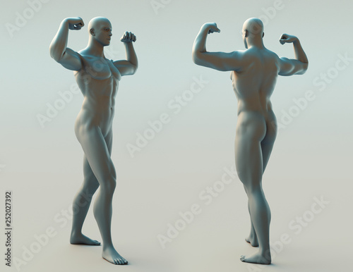 Human body model  3d rendering
